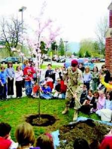 Tree planting