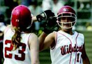 Wildcats Win District