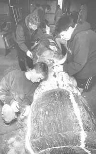 Fall City totem pole undergoing transformation