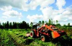 Working the field