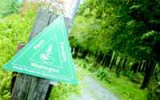 North Bend family's tree farm earns regional honor