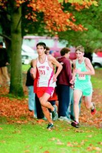 Cats show their stuff at districts