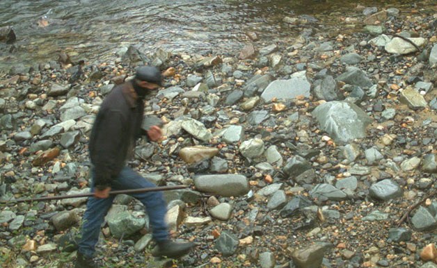 The person of interest in the theft of nine wildlife cameras is pictured in this image taken by a hidden WSDOT camera.