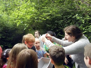 High school and elementary students examine