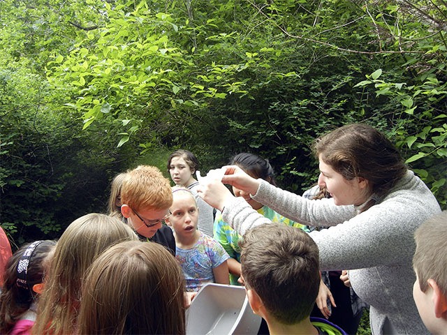 High school and elementary students examine