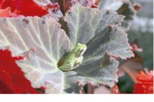 Last year’s first-place Reader Photo Contest winner