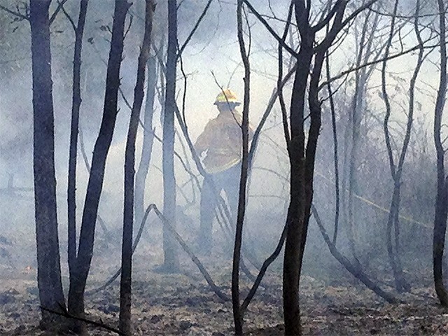 A firefighter is enveloped in smoke while extinguishing the grass fire Thursday.