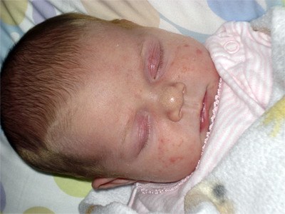Avery Elizabeth Laub