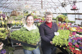 Helping get people ready to grow their own veggies