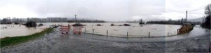 A panorama of floodwaters covering farms along West Snoqualmie River Road near Fall City.