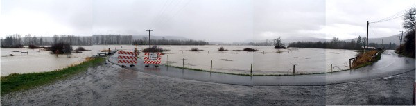 A panorama of floodwaters covering farms along West Snoqualmie River Road near Fall City.