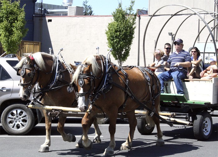 The Buckner draft-horse wagon carries passengers down Falls Avenue during Railroad Days. Wagon rides return this weekend.