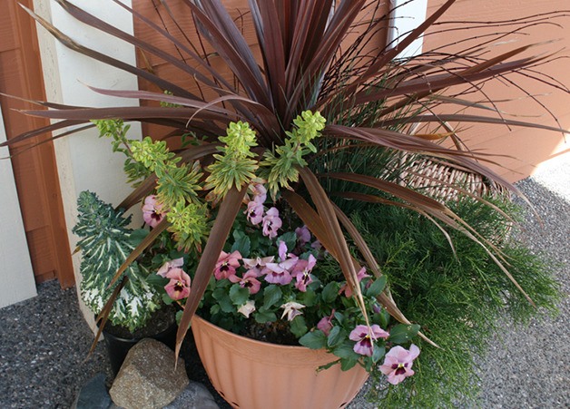 This container by Pamela Wickard’s front door is a good example of Thriller