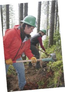 Volunteers Sherry Cady-Treder