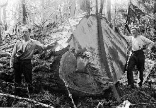 Equipped with a falling axe and a “misery whip