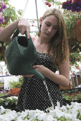 Inside Mount Si High School’s greenhouse