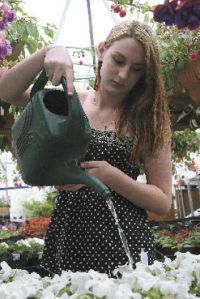 Inside Mount Si High School’s greenhouse