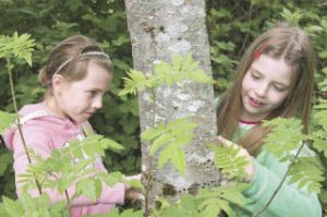 Students Brianna Stonebraker