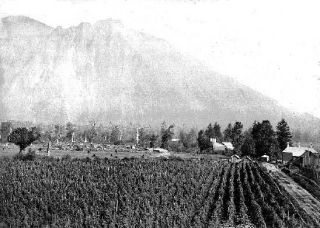 The Snoqualmie Hop Ranch