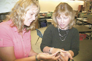 Substitute teacher Kalli Willson