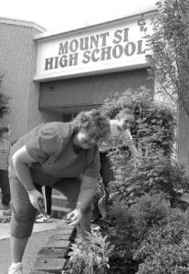 Tending to garden beds