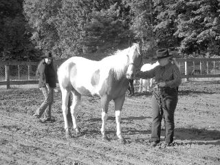 Judge Crissy Wayne examines the build of Titan