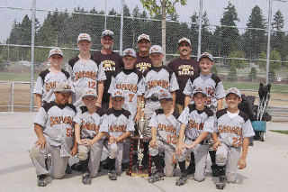 The Sahara Bears Baseball Club has performed well this summer