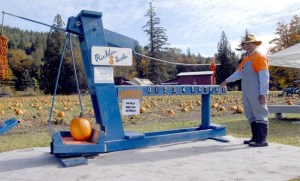 At Punkin' Time pumpkin patch