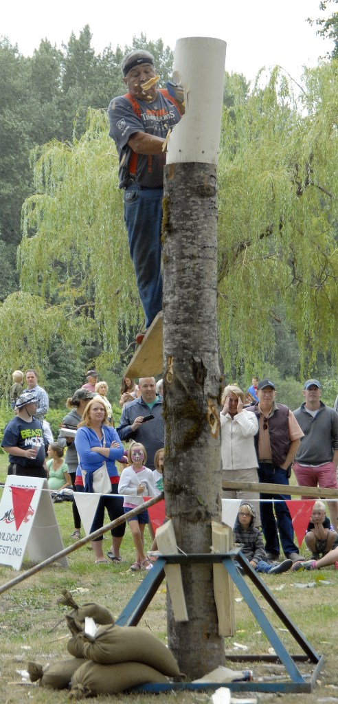 David Moses Sr. demonstrates the springboard chop at the 2015 Railroad Days timber sports shows. Carol Ladwig/Staff Photo