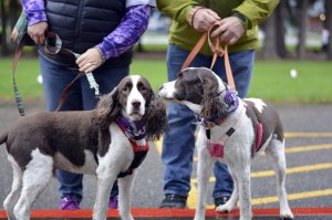 Courtesy PhotoThe 2015 Bark for Life event raised more than $1600