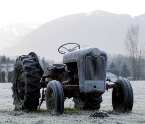 Vintage tractors still ply Meadowbrook Farm’s grassy meadows. Meadowbrook was a vast hop ranch prior to a market crash.