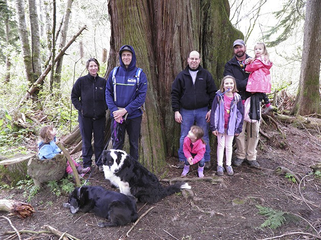 On the trail to Meadowbrook’s 500-year-old Big Cedar