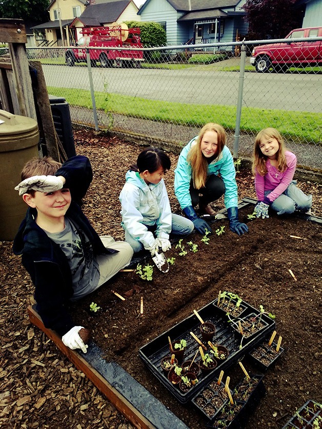 Sunday School group grows Snoqualmie Methodist Church’s community garden