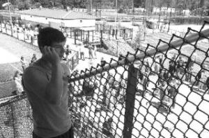 Calling his father from the stadium bleachers