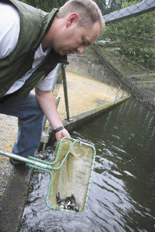 Tokul Creek Fish Hatchery Manager Darin Combs cares for thousands of trout at the facility