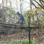 A searcher uses a chainsaw to clear brush from an area near Duvall, where King County detectives searched Thursday morning for remains of a victim of the Green River Killer. The Duvall location was one of the sites convicted Green River Killer Gary Ridgway said he might have used to dispose of his victims&rsquo; bodies. Nothing was found during the search.                                Carol Ladwig/Staff Photo