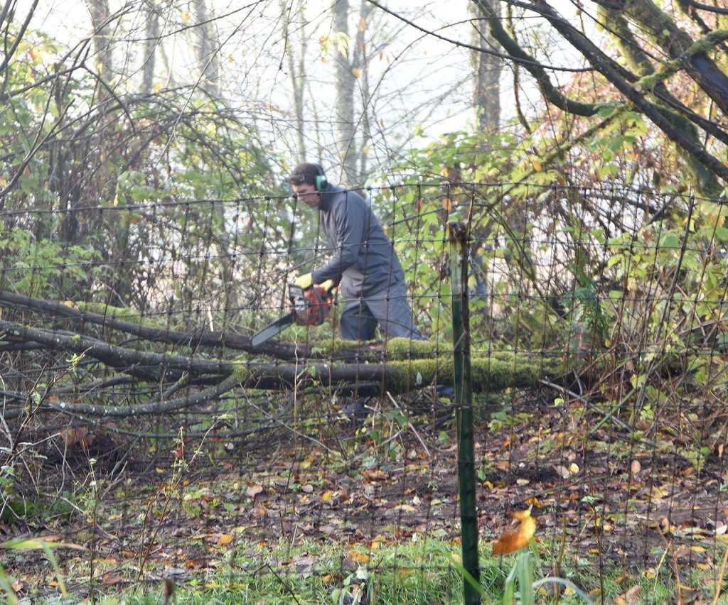 A searcher uses a chainsaw to clear brush from an area near Duvall, where King County detectives searched Thursday morning for remains of a victim of the Green River Killer. The Duvall location was one of the sites convicted Green River Killer Gary Ridgway said he might have used to dispose of his victims&rsquo; bodies. Nothing was found during the search.                                Carol Ladwig/Staff Photo