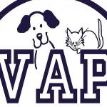 Chili showdown crowns Anderson chili champions, raises $4,432 for Valley Animal Partners