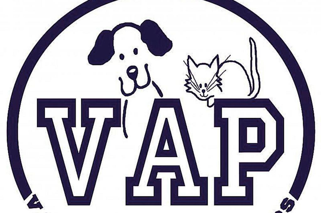 Chili showdown crowns Anderson chili champions, raises $4,432 for Valley Animal Partners