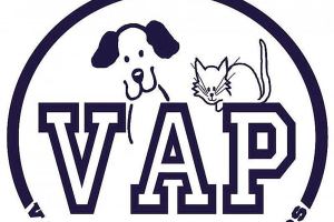 Chili showdown crowns Anderson chili champions, raises $4,432 for Valley Animal Partners