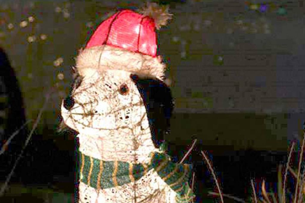 Snoqualmie holiday lights contest open for entries until Dec. 2