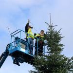 Snoqulamie Parks sttaffers Scott MacVikar and Shane Will got an early start in dcorating downtown Snoqualmie&rsquo;s streets and Railway Park, to be ready in time for the city&rsquo;s tree lighting event Nov. 26. (Evan Pappas/Staff Photo)