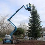 The Snoqualmie parks crew using an elevated work platform to reach the top of the tree that will be featured at the holiday tree lighting on Saturday, Nov. 26. (Evan Pappas/Staff Photo)