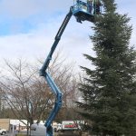 Scott MacVikar and Shane Will line up their elevated work platform with the large tree on Thursday, Nov. 17. (Evan Pappas/Staff Photo)