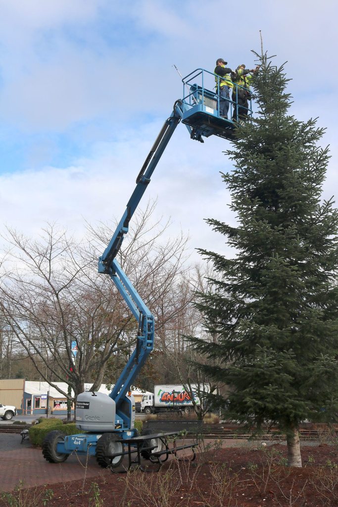 Scott MacVikar and Shane Will line up their elevated work platform with the large tree on Thursday, Nov. 17. (Evan Pappas/Staff Photo)