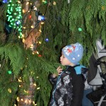A young festival-goer takes a closer look at some of the 60,000 holiday lights in Snoqualmie&rsquo;s Railway Community Park Saturday.
