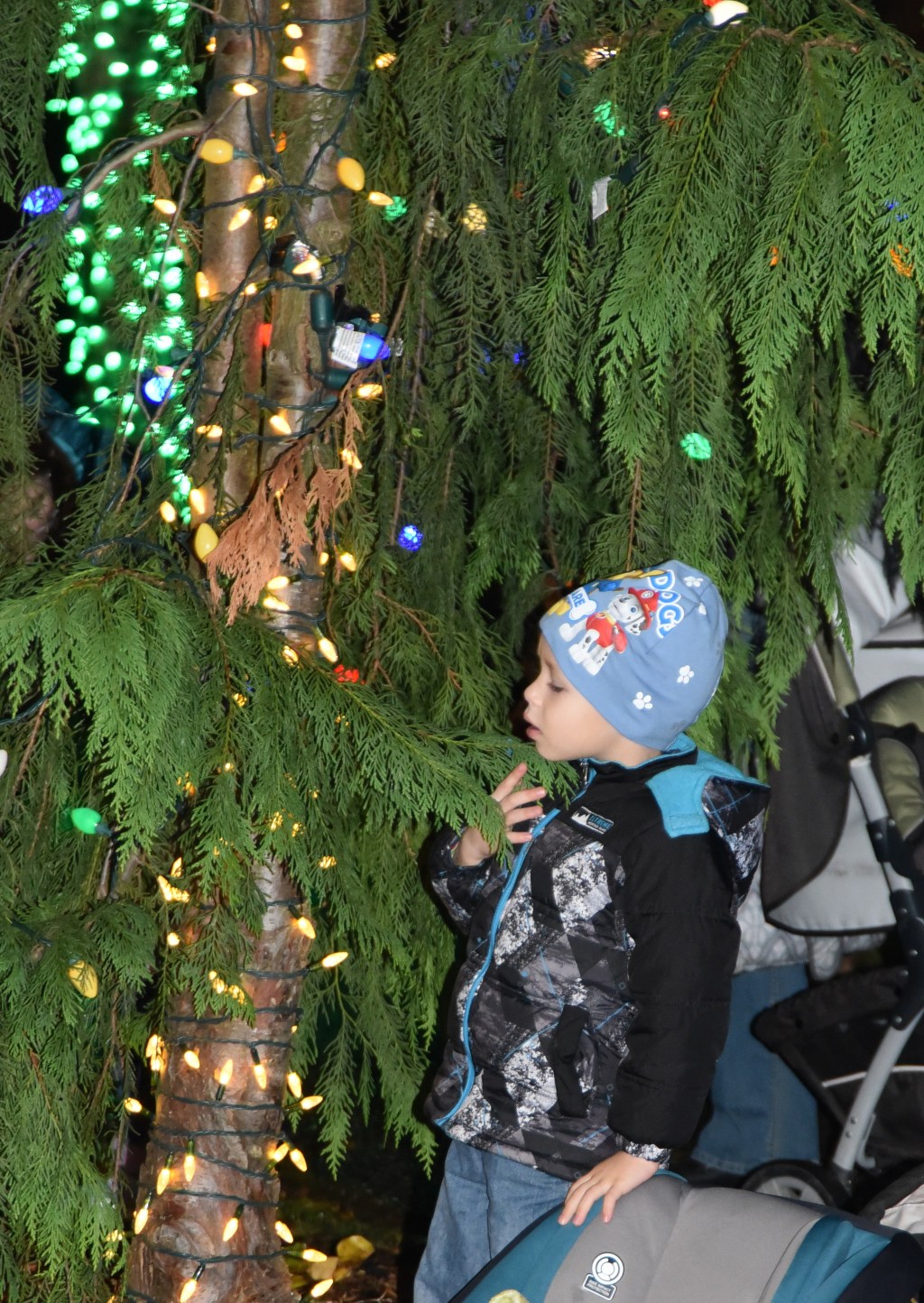 A young festival-goer takes a closer look at some of the 60,000 holiday lights in Snoqualmie&rsquo;s Railway Community Park Saturday.