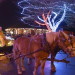 Horse-drawn wagon rides were a popular attraction at the Snoqualmie tree-lighting event Nov. 26.