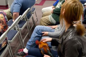 Year in review part 2: A look at local heroes, annual traditions, preserving history and how many chickens to keep in a yard