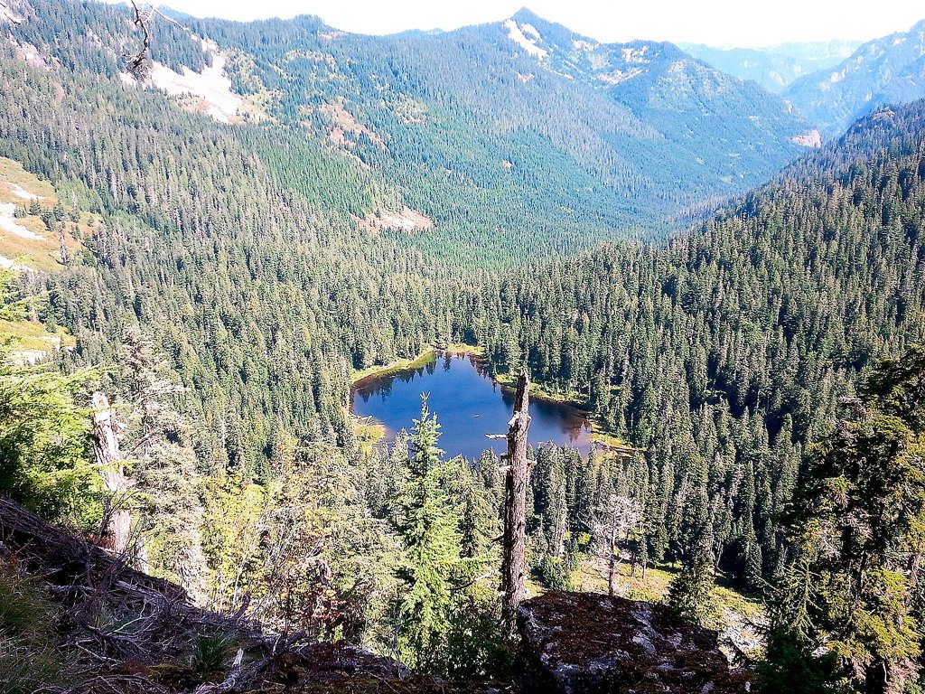The Lake Blethen property is 220-acres and is home to two endangered species, the spotted owl and marbled murrelet. (Courtesy Photo)
